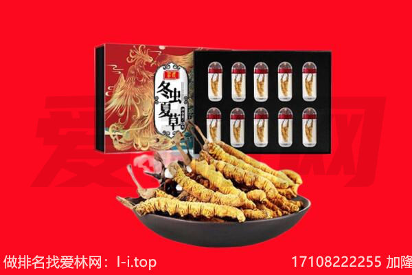 鹤壁山城区回收虫草.jpg
